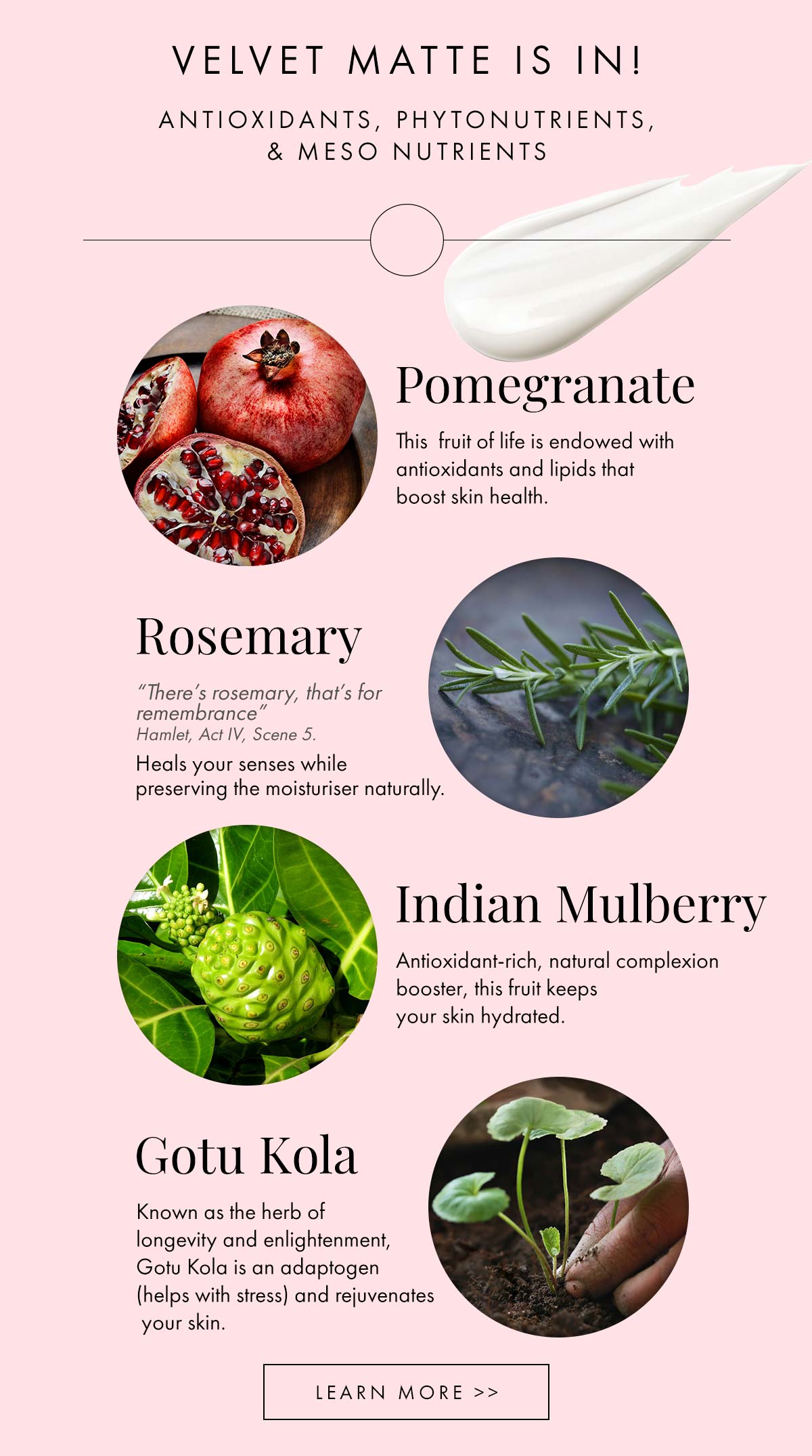 Antioxidants, Phytonutrients and more.... Daughter Earth